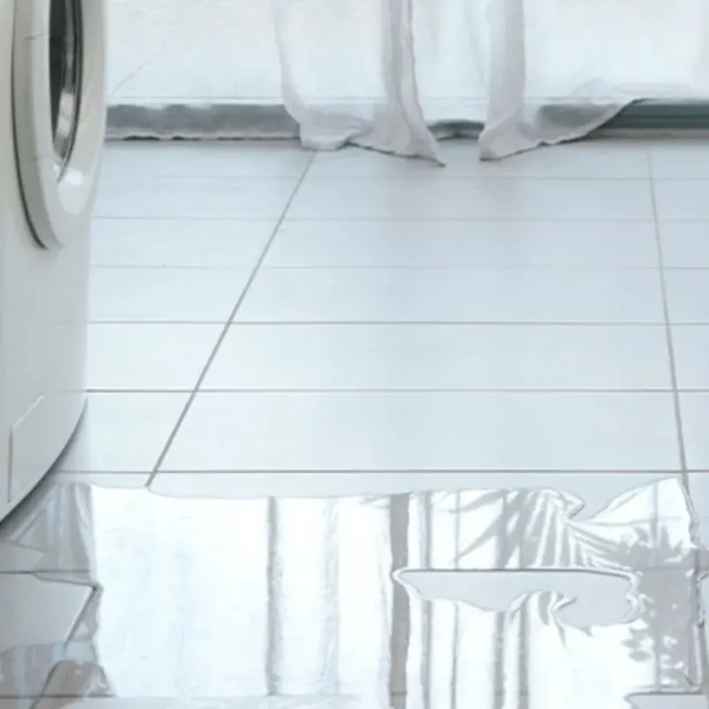 Appliance Leak Cleanup in Delano, CA